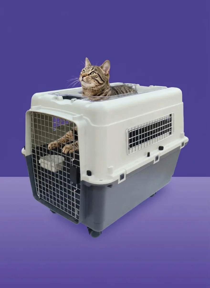 A hard-sided cat carrier that unclips into two halves, with a cat sitting inside